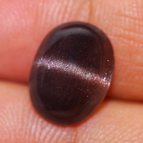 CE095 Natural Unheated Dark Brown Cat's Eye Scapolite 3.98Ct